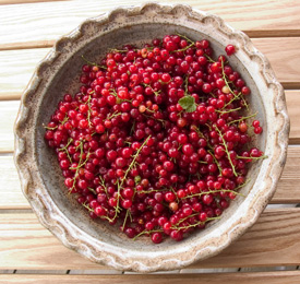 redcurrants.jpg