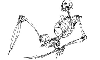 skeletondrawing.jpg