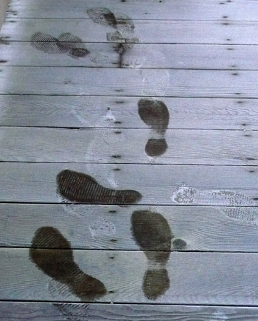 FootprintsFrost.jpg