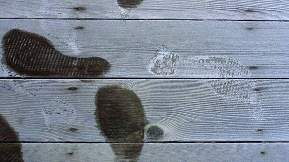 FootprintsFrost2.jpg