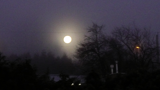 FullColdMoon2009.jpg