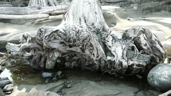 HornbyDriftwood.jpg