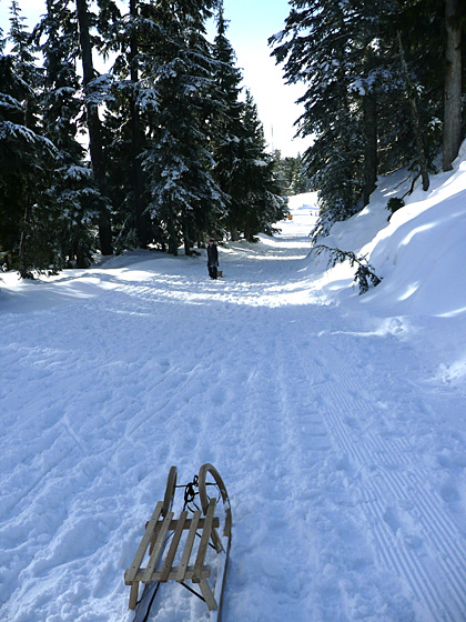 MtSeymourFeb2013_sledding.jpg