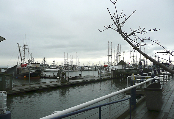 StevestonFishWharf.jpg