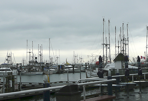 StevestonFishWharf2.jpg