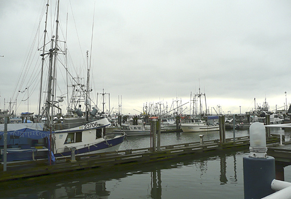 StevestonFishWharf3.jpg