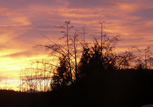 Sunrise7Jan2010_3.jpg