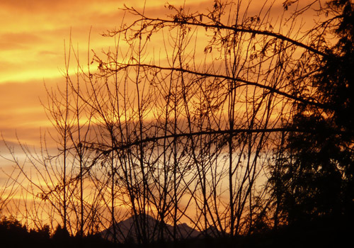 Sunrise7Jan2010_4.jpg