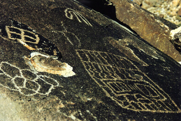 XmasGrapevinePetroglyphs2.jpg