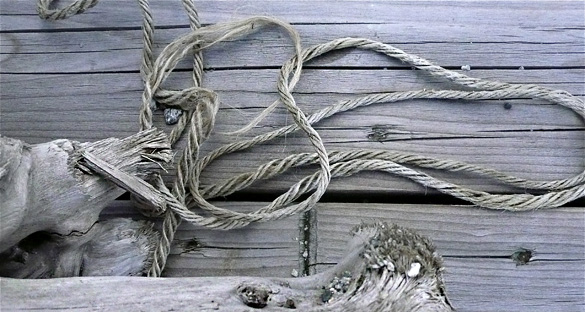 driftwood_rope2.jpg