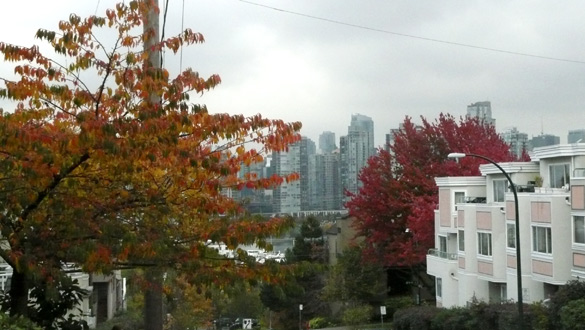 fallColours2010.jpg