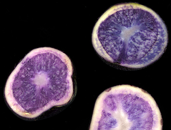 purplepotatoes.jpg