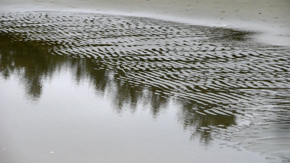 seaReflections3_2010.jpg