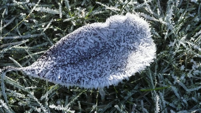 frost135_Nov13